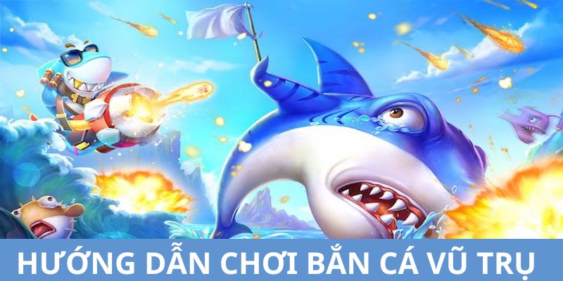 Chi tiết quy trình bao gồm hướng dẫn bạn tham gia săn cá đơn giản nhất