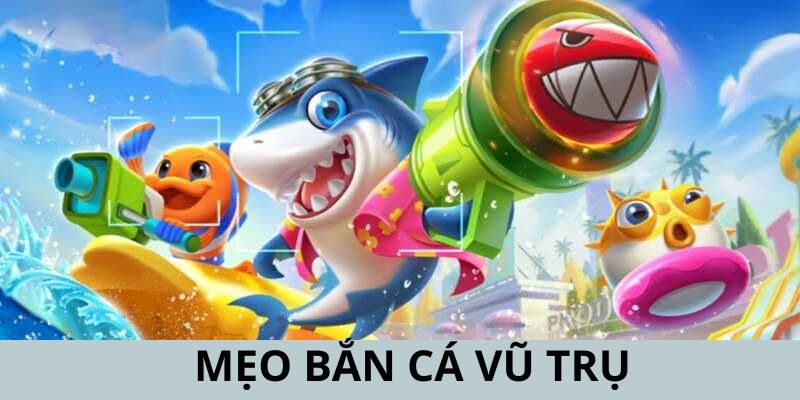 Những mẹo săn mồi được nhà cái uy tín gợi ý cho thành viên